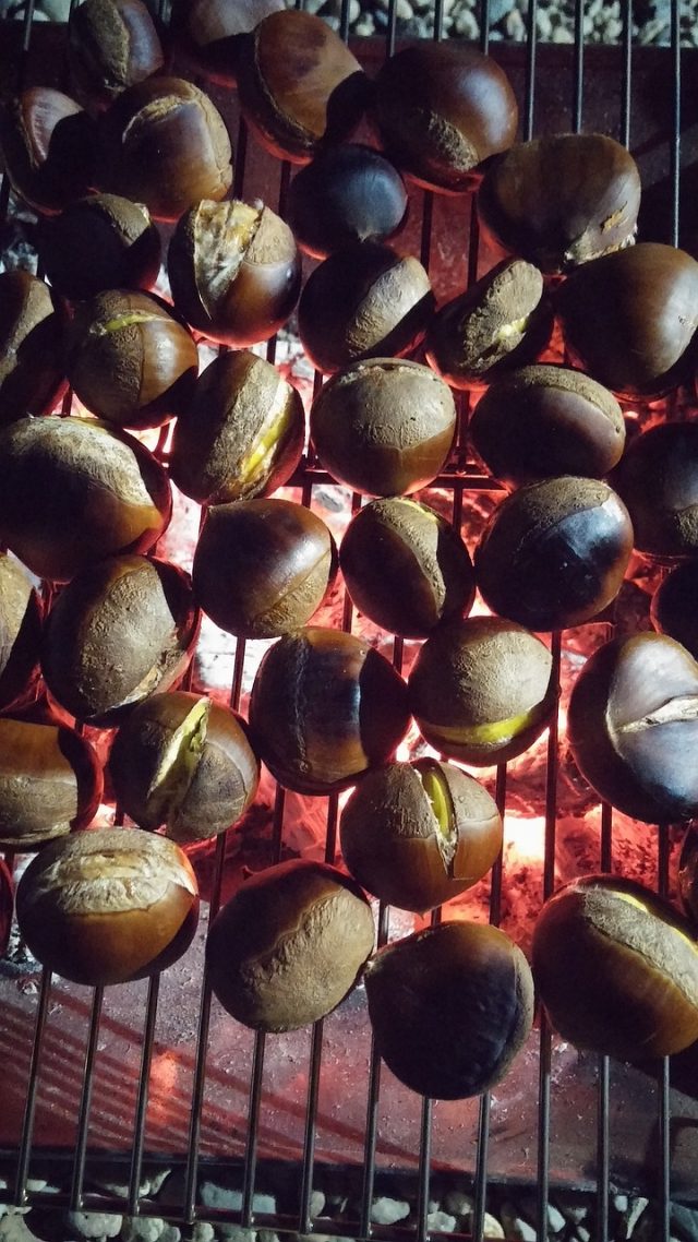chestnuts-1793456_1280